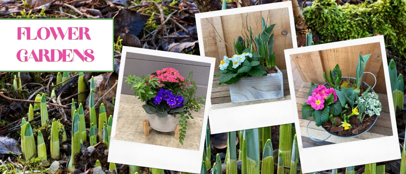 Flower Delivery to Grimsby by Cole's Florist Inc.